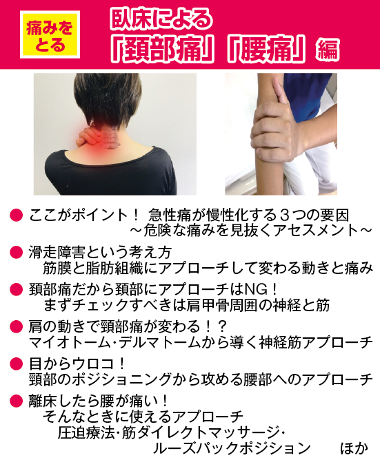 画像に alt 属性が指定されていません。ファイル名: musclepain_23-02.png